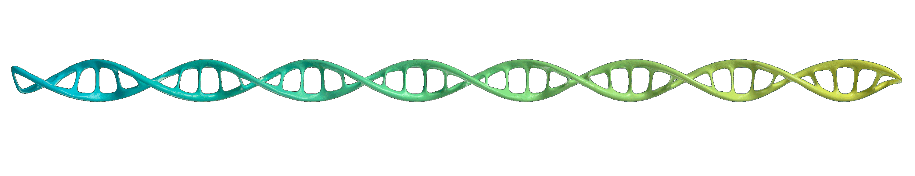 DNA Animation